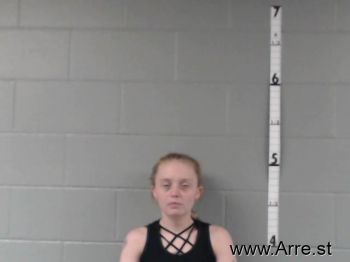 Samantha Ann Ellis Mugshot