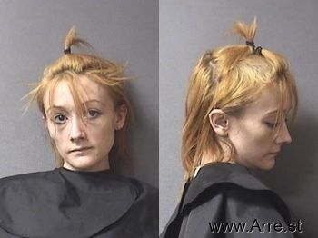 Stephanie Rainee Lee Mugshot