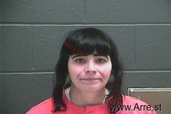 Taneesa Elizabeth Mckinney Mugshot