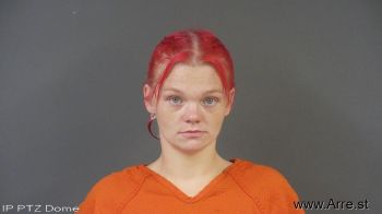 Theresa Deann Johnson Mugshot