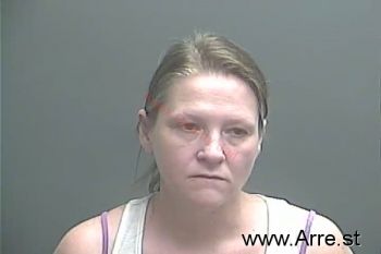 Theresa Ann Liddle Mugshot