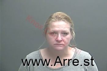 Theresa Ann Liddle Mugshot