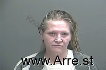 Theresa Ann Liddle Mugshot