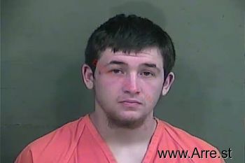 Tyler  Lewis Mugshot