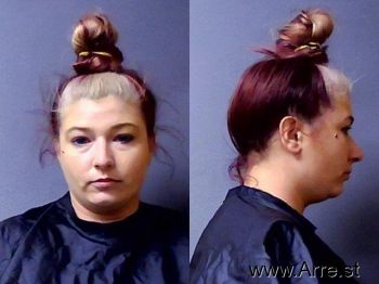 Tara Denise Parmer Mugshot