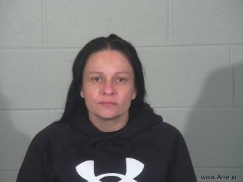 Terri Ann Palmerton Mugshot