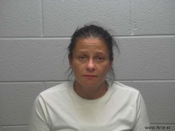 Terri Ann Palmerton Mugshot