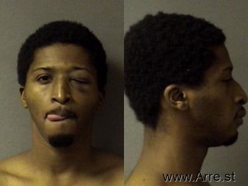 Terry Lynn Junior Anderson Mugshot