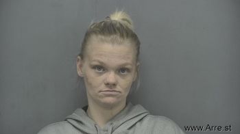 Theresa De Anne Johnson Mugshot