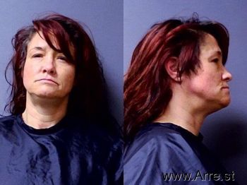 Tina Reene Shelton Mugshot