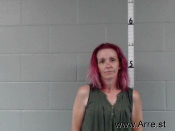 Tracy Lynn Cook Mugshot