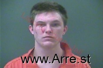 Tyler Hahn Williams Mugshot