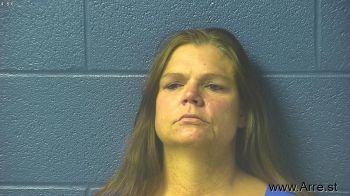 Viana Michelle Volz Mugshot