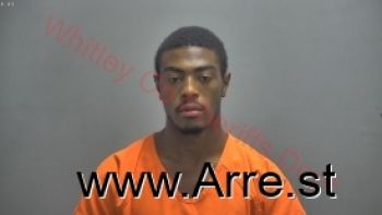 William Allen Holloway  Jr Mugshot