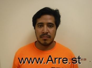 Wilson  Rodas Gomez Mugshot