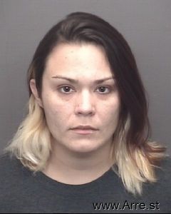 Amanda Levi Arrest Mugshot