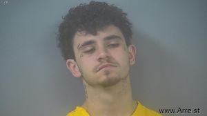 Bryce Pierce Arrest Mugshot