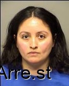 Christina Chavez Arrest Mugshot