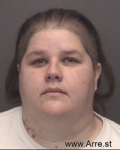 Robin Ande Arrest Mugshot