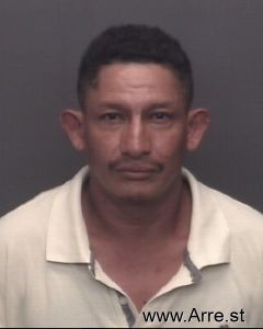 Rony Salazar-hernandez Arrest