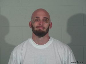 Skyler Robertson Arrest Mugshot