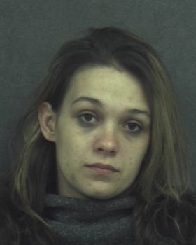 Ashley Nicole Wilson Mugshot