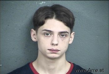 Austin Tyler Partnoy Mugshot