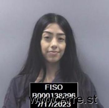 Alexis  Castillo Mugshot