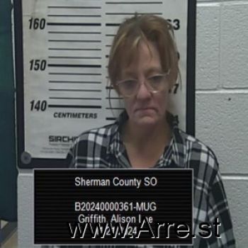 Alison Lee Griffith Mugshot