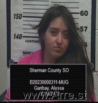 Alyssa  Garibay Mugshot