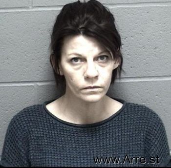 Amy Jean Puffinbarger Mugshot