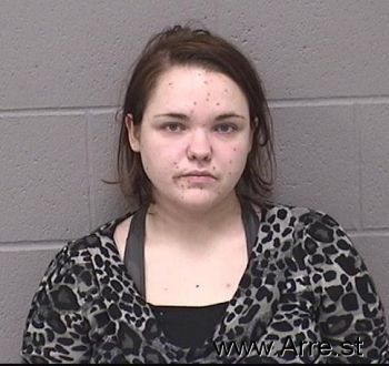 Amy Lee Williams Mugshot