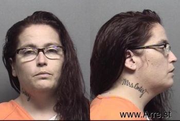 Amy Marie Williams Mugshot