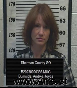 Andrea Joyce Burnside Mugshot