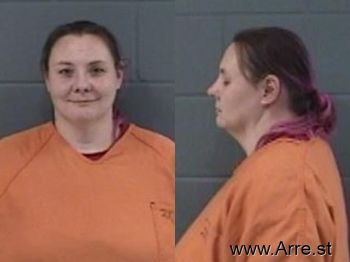 Andrea Renee Cobuluis Mugshot