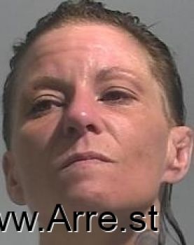 Angel Ann Drake Mugshot