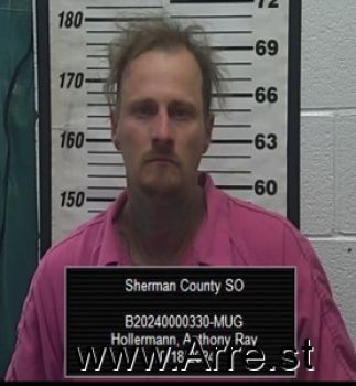 Anthony Ray Hollermann Mugshot