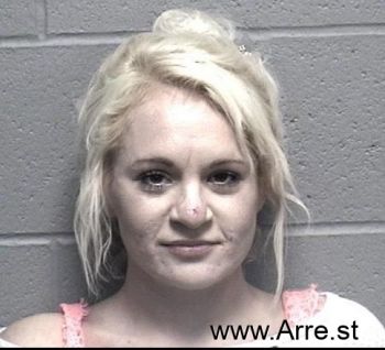 Ashleigh Nichole Perkins Mugshot