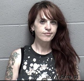 Ashley Marie Hunter Mugshot