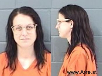 Ashley Christine Janes Mugshot