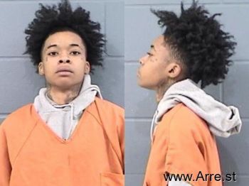 Ashley Nicole Price Mugshot