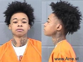 Ashley Nicole Price Mugshot