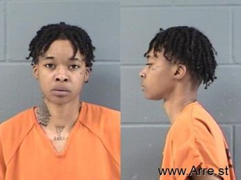 Ashley Nicole Price Mugshot