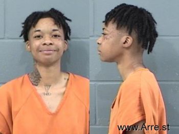 Ashley Nicole Price Mugshot