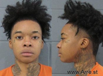 Ashley Nicole Price Mugshot