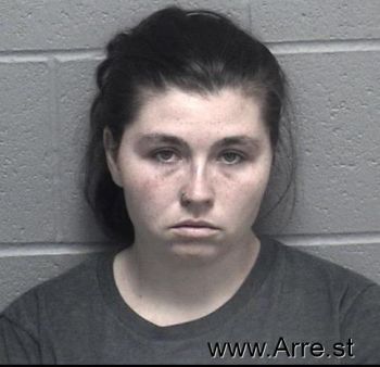 Ashley Marie Wilson Mugshot