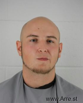 Brandon Michael Hollander Mugshot