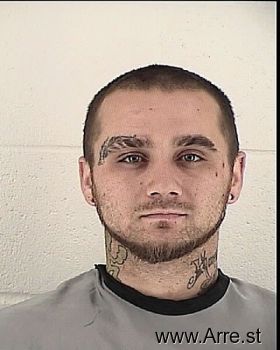 Brandon Lee Nicholson Mugshot