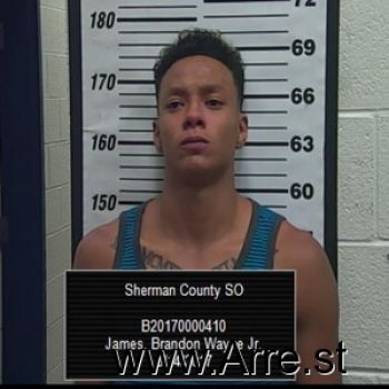 Brandon  James Mugshot