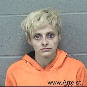 Brandy Diane Ketron Mugshot